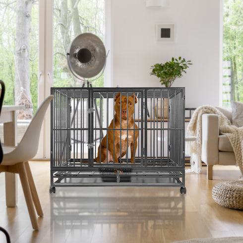 PET-CAGE-Y48