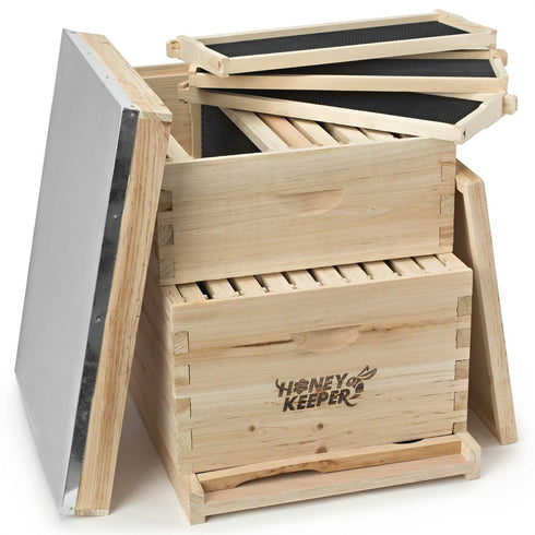 BEE-HIVE-L20