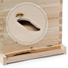 BEE-HIVE-L20