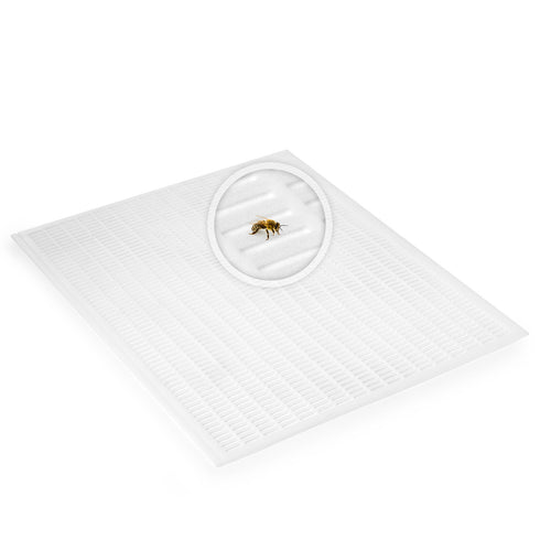 BEE-HIVE-L20