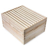 BEE-HIVE-DH10