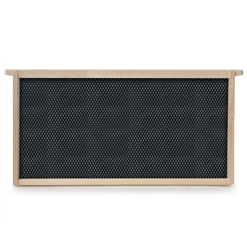 BEE-HIVE-DH10