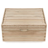 BEE-HIVE-DH10