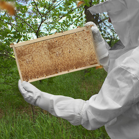 BEE-HIVE-FR1