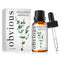 House Blend 1-oz. Essential Oil - Eucalyptus