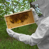 BEE-GLV-VNT-MED