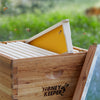 BEE-HIVE-FRM10