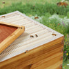 BEE-HIVE-QE02
