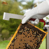 BEE-TOOL-HT28