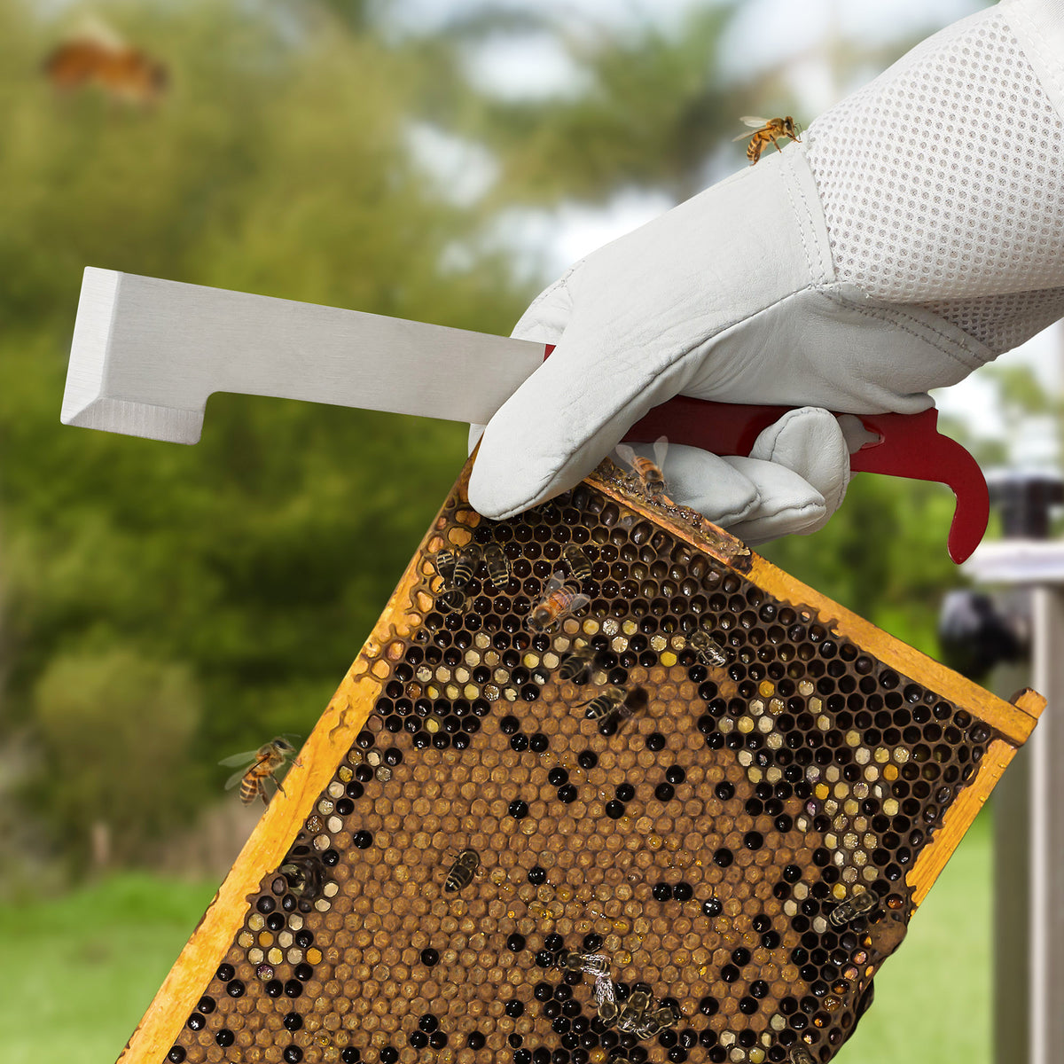 balanced beekeeping for everyone, natural beekeeping, top bar hive