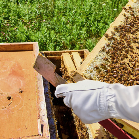 BEE-TOOL-HT28