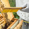 BEE-TOOL-BBR16