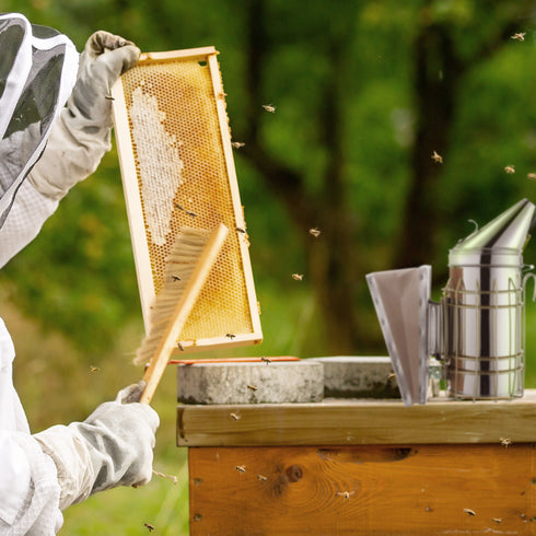 BEE-TOOL-BBR16