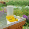 BEE-TOOL-FD22