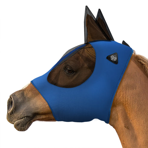 PET-EQ-M2501-BLU