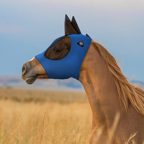 PET-EQ-M2501-BLU