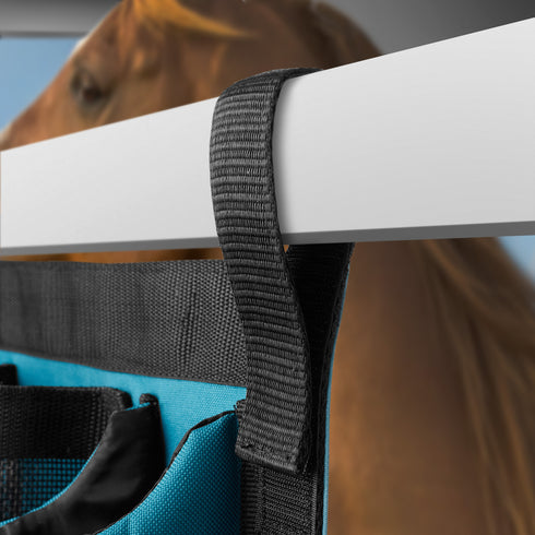 PET-EQ-G3923-TEAL