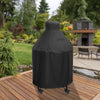 BBQ-COV-3545