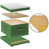 BEE-HIVE-DH512A-GRN