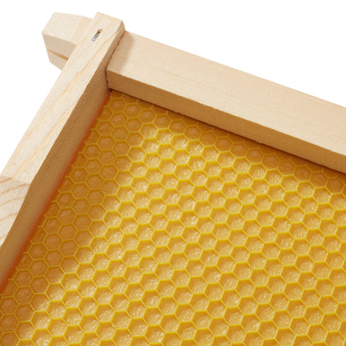 BEE-HIVE-DH610-WHT