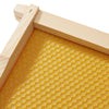 BEE-HIVE-DH610-WHT