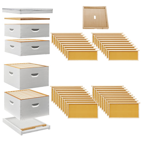 BEE-HIVE-L107A