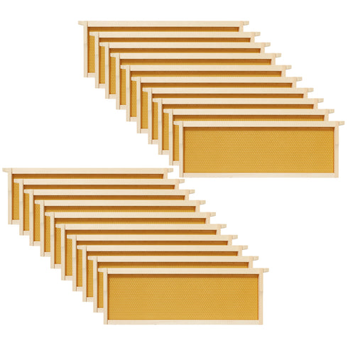 BEE-HIVE-L107A