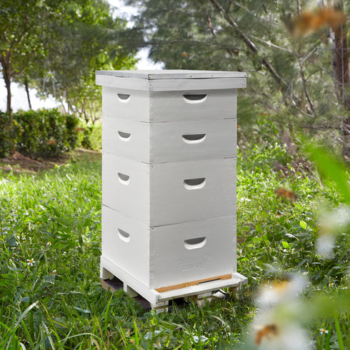 BEE-HIVE-L107A