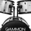 DRUM-S-AB-6281-SLV