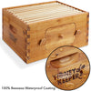 BEE-HIVE-WHD10B