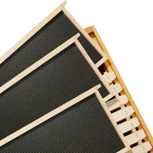 BEE-HIVE-WHD10B
