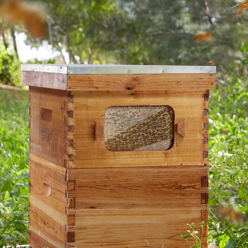 BEE-HIVE-WHD10B