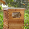 BEE-HIVE-WHD10B