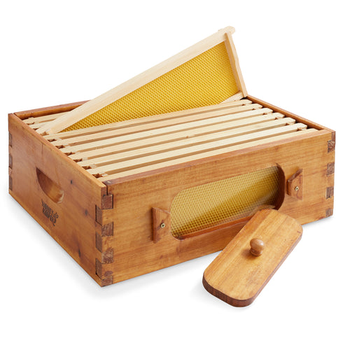 BEE-HIVE-WHM10Y