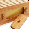 BEE-HIVE-WHM10Y