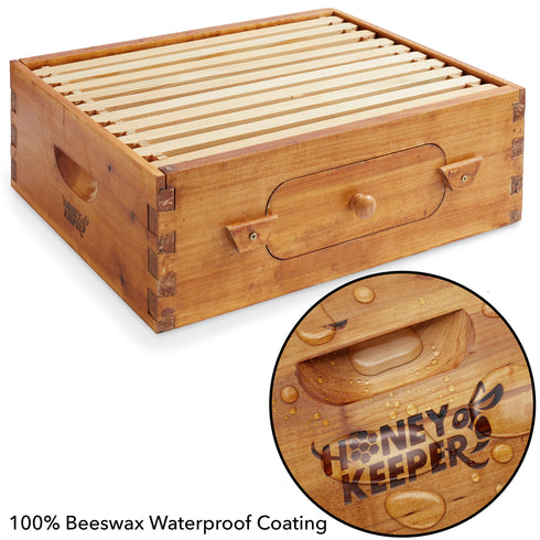 BEE-HIVE-WHM10Y