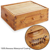 BEE-HIVE-WHM10Y