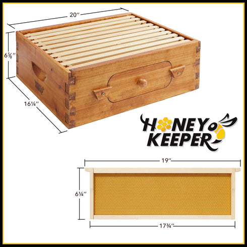 BEE-HIVE-WHM10Y