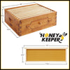BEE-HIVE-WHM10Y