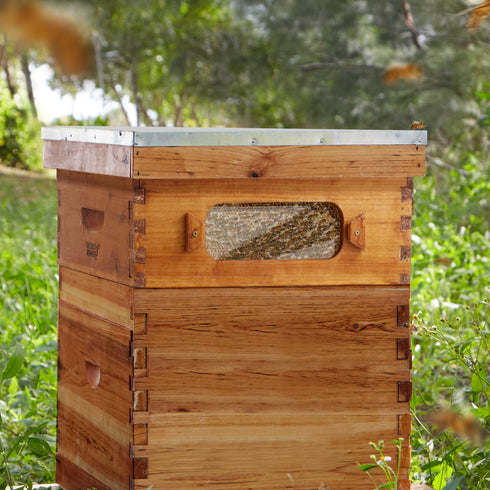 BEE-HIVE-WHM10Y