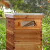 BEE-HIVE-WHM10Y
