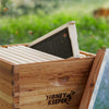 BEE-HIVE-FR100U-BLK
