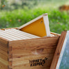 BEE-HIVE-FR100U-YEL