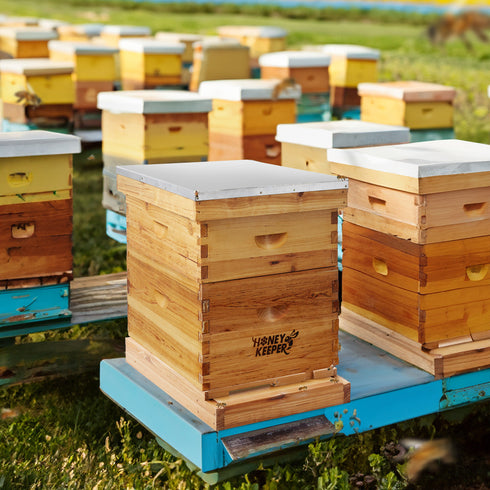 BEE-HIVE-BTM8