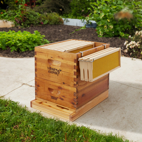 BEE-TOOL-FRH2
