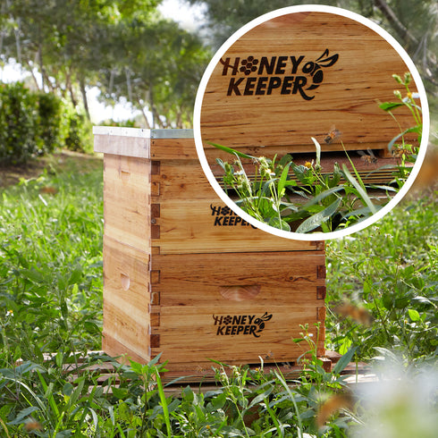 BEE-HIVE-LRE1