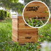 BEE-HIVE-LRE1