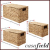 HOM-STO-S6184-NAT