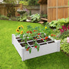 PAT-GDN-P5441-WHT