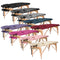 Professional Portable Folding Massage Table